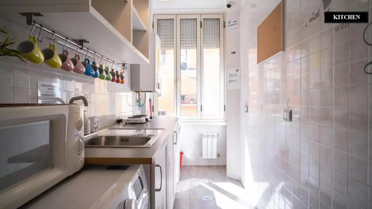 Domus Ferruccio Hotel Roma