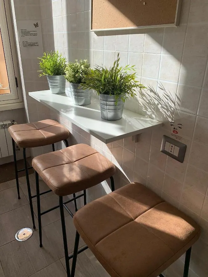 Domus Ferruccio Hotel Rome