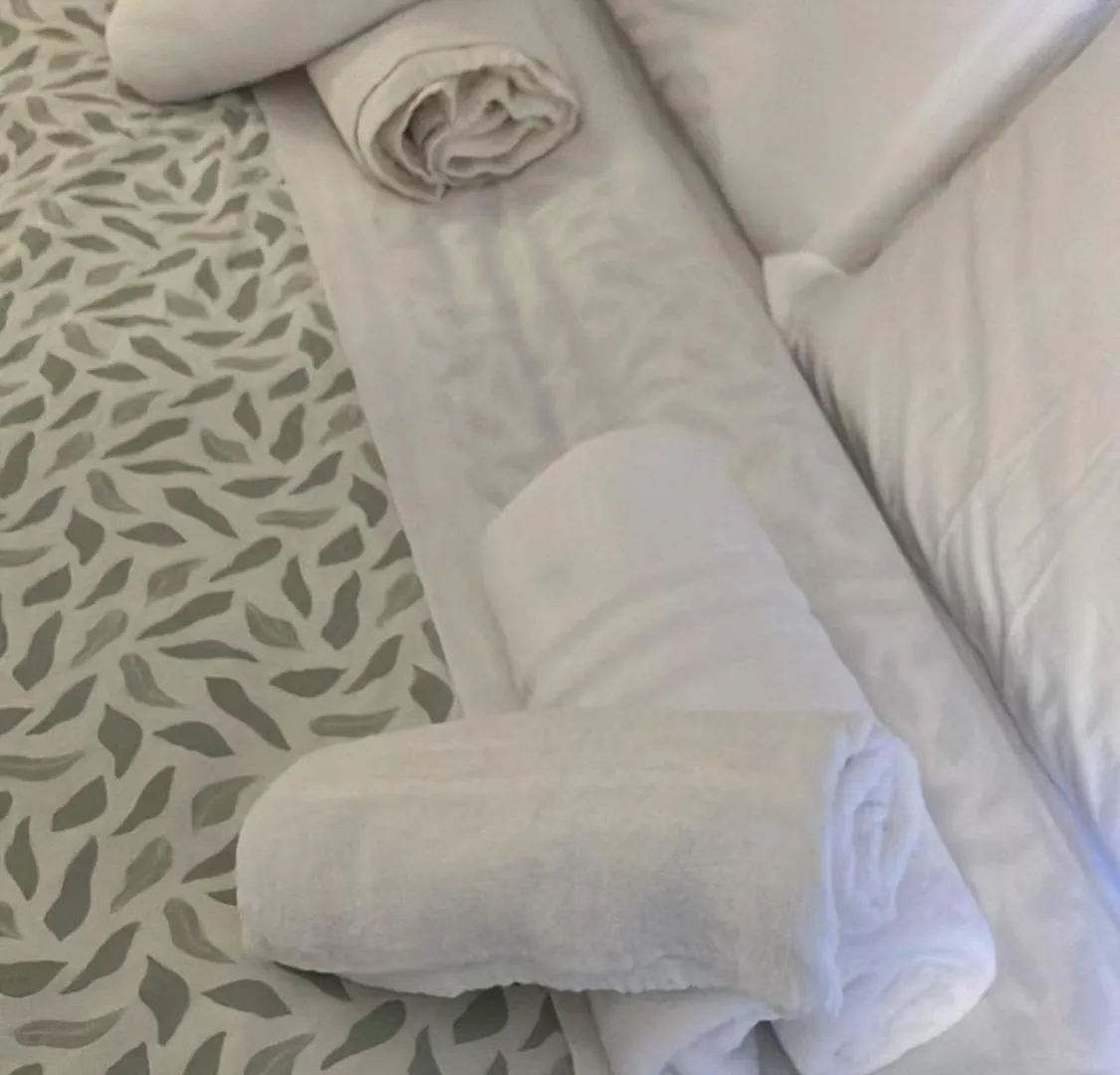 Domus Ferruccio Hotel Rome