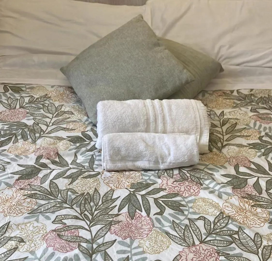 Guest house Domus Ferruccio Hotel Rome